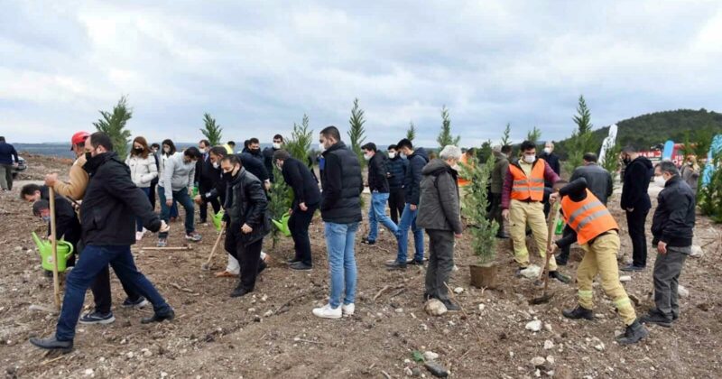 Çanakkale’de de Fidanlar Toprakla Buluştu